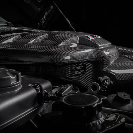 Eventuri carbon fibre intake plenum (E9X M3)