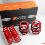 AST Lowing Springs for BMW