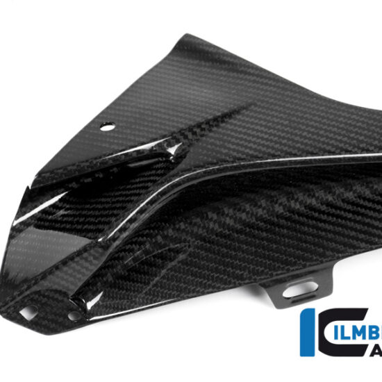 Ilmberger Carbon Upper Fairing Panel, Left (S1000RR Gen 3)